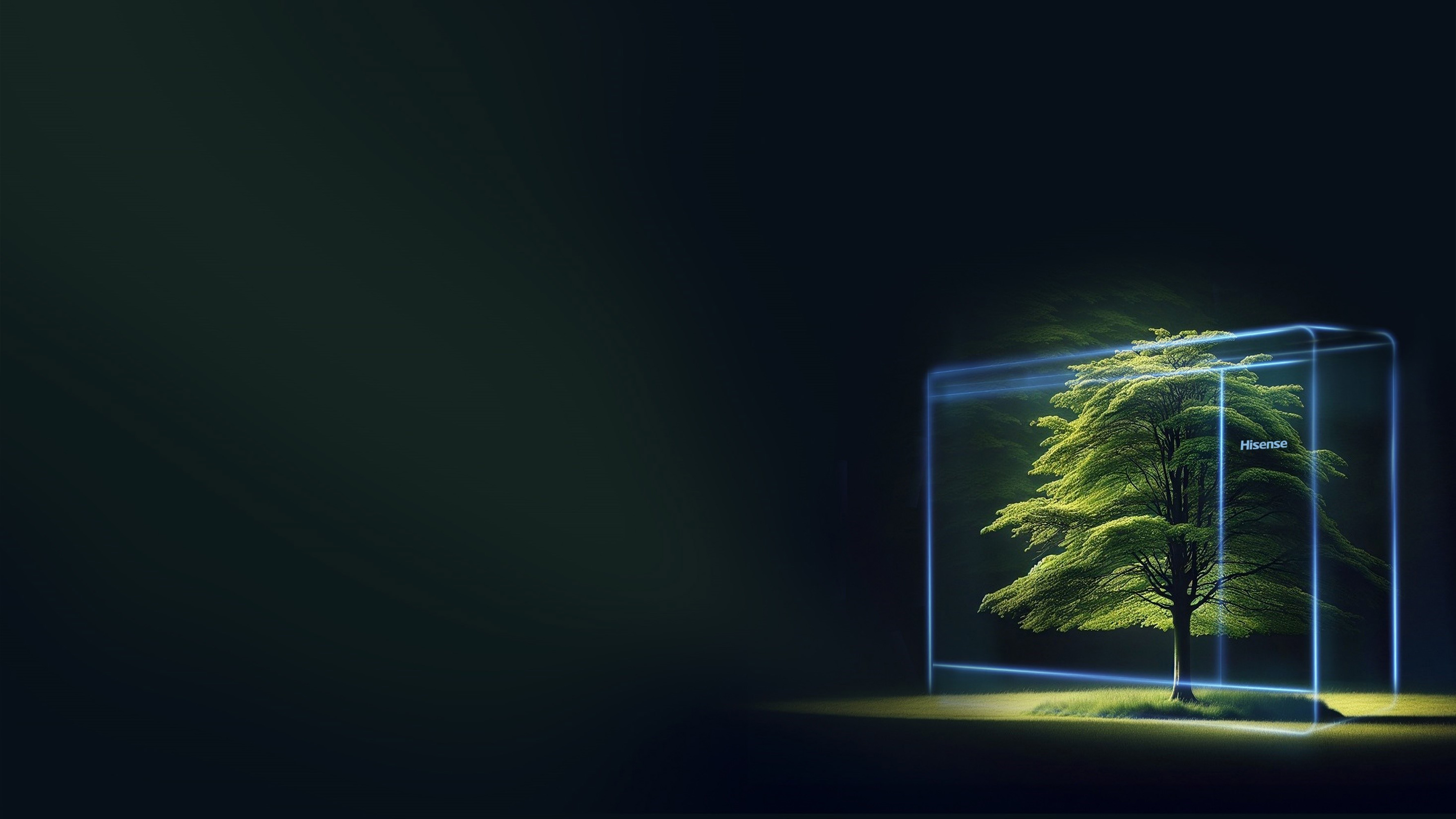 Testimonial background
